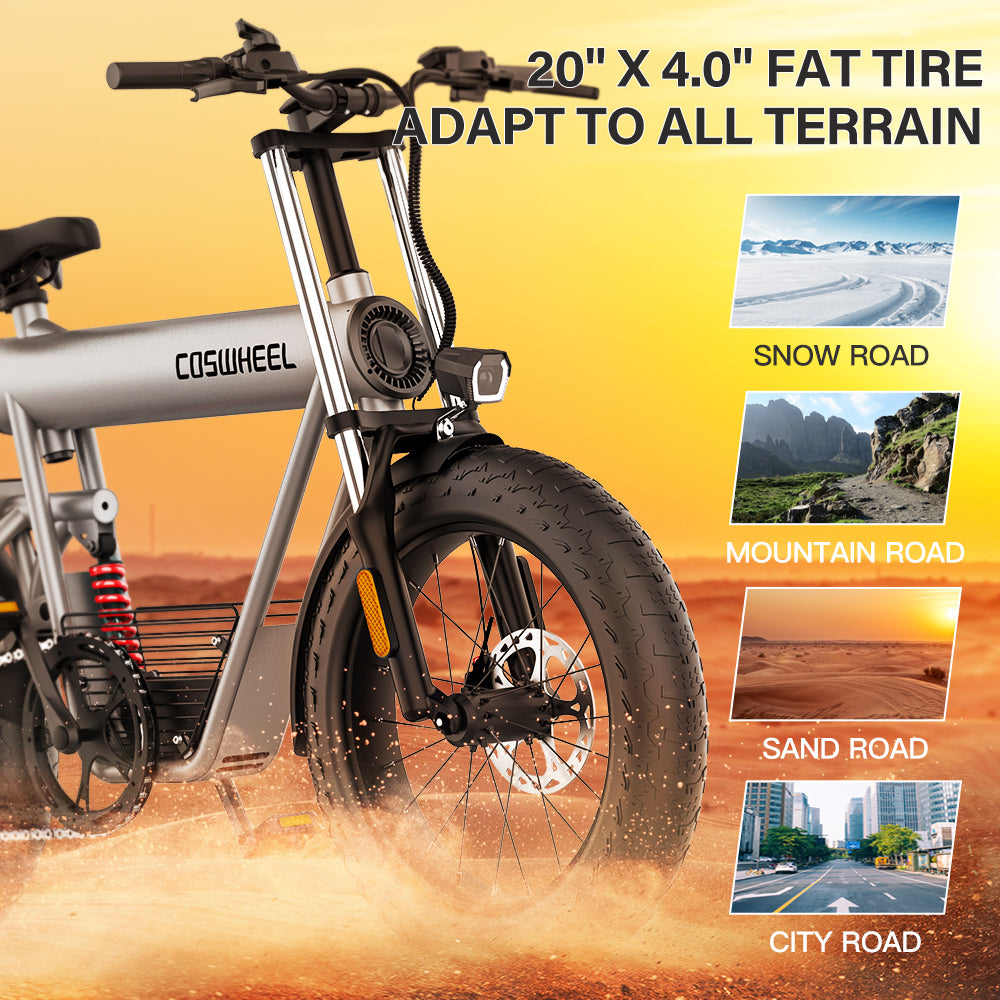 COSWHEEL T20 - Pedal Go