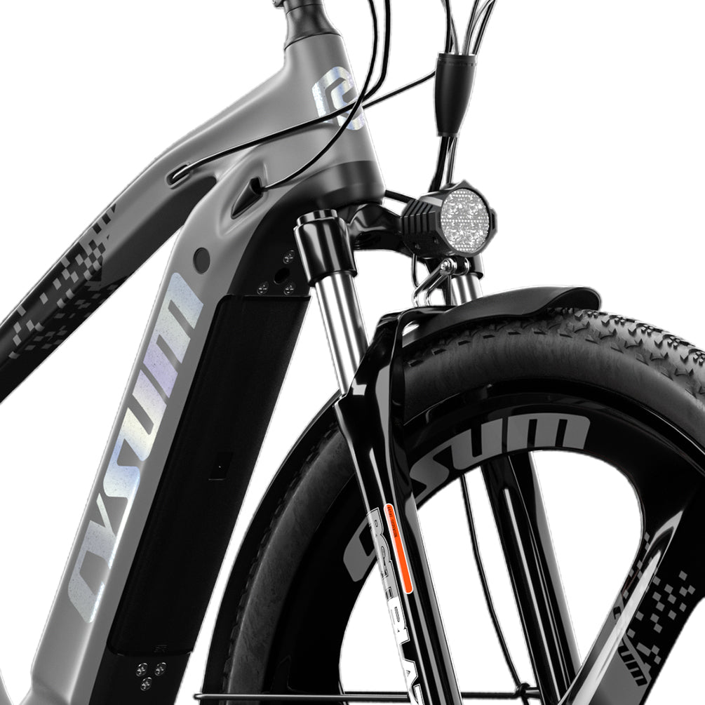 Cysum Speedy 29" - Pedal Go