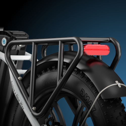 ENGWE L20 Electric Bike - 250W-Pedal Go