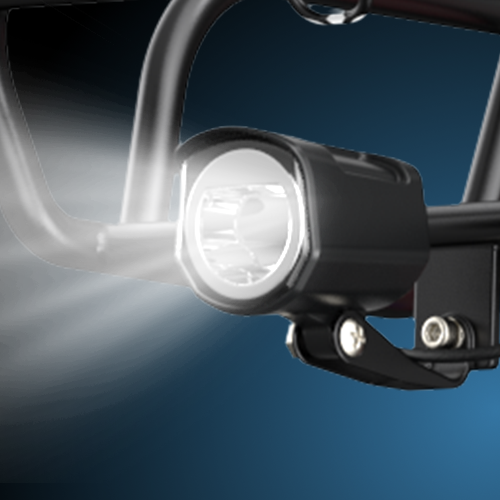 ENGWE L20 Electric Bike - 250W-Pedal Go