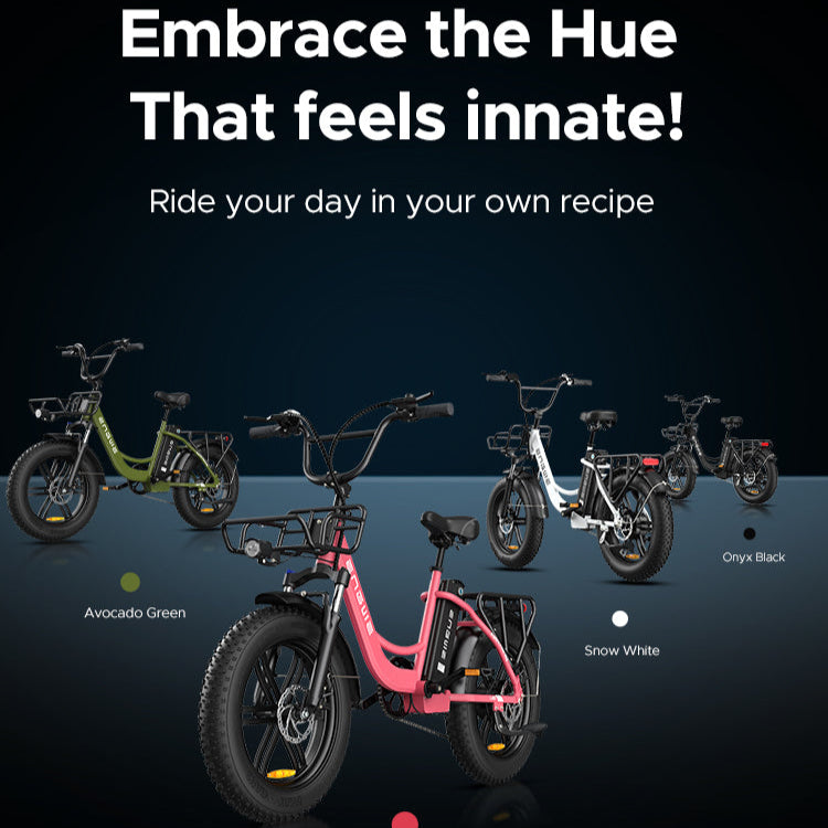 ENGWE L20 Electric Bike - 250W-Pedal Go