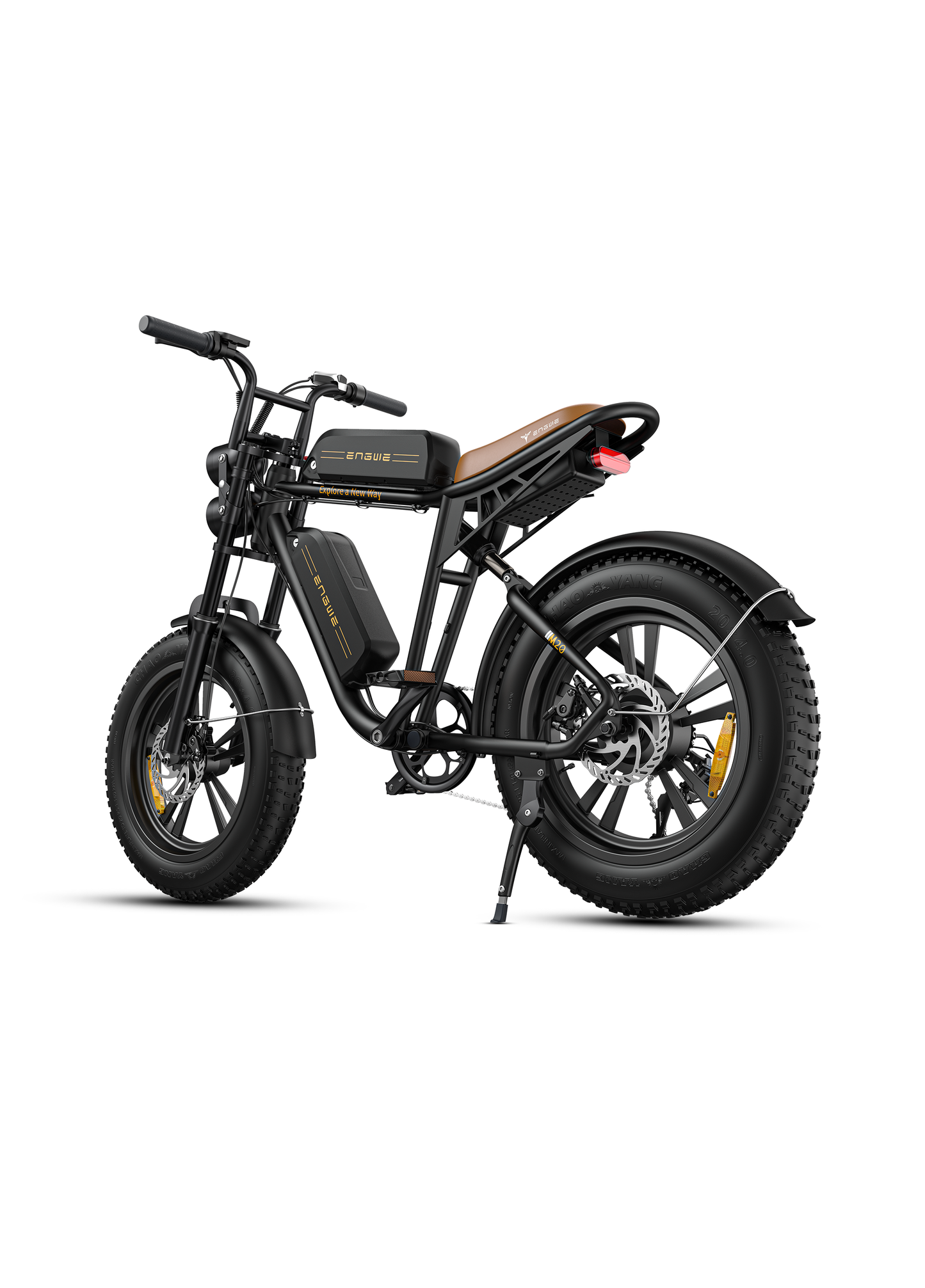 ENGWEM20ElectricBike-DoubleBattery1000W_Pedal Go