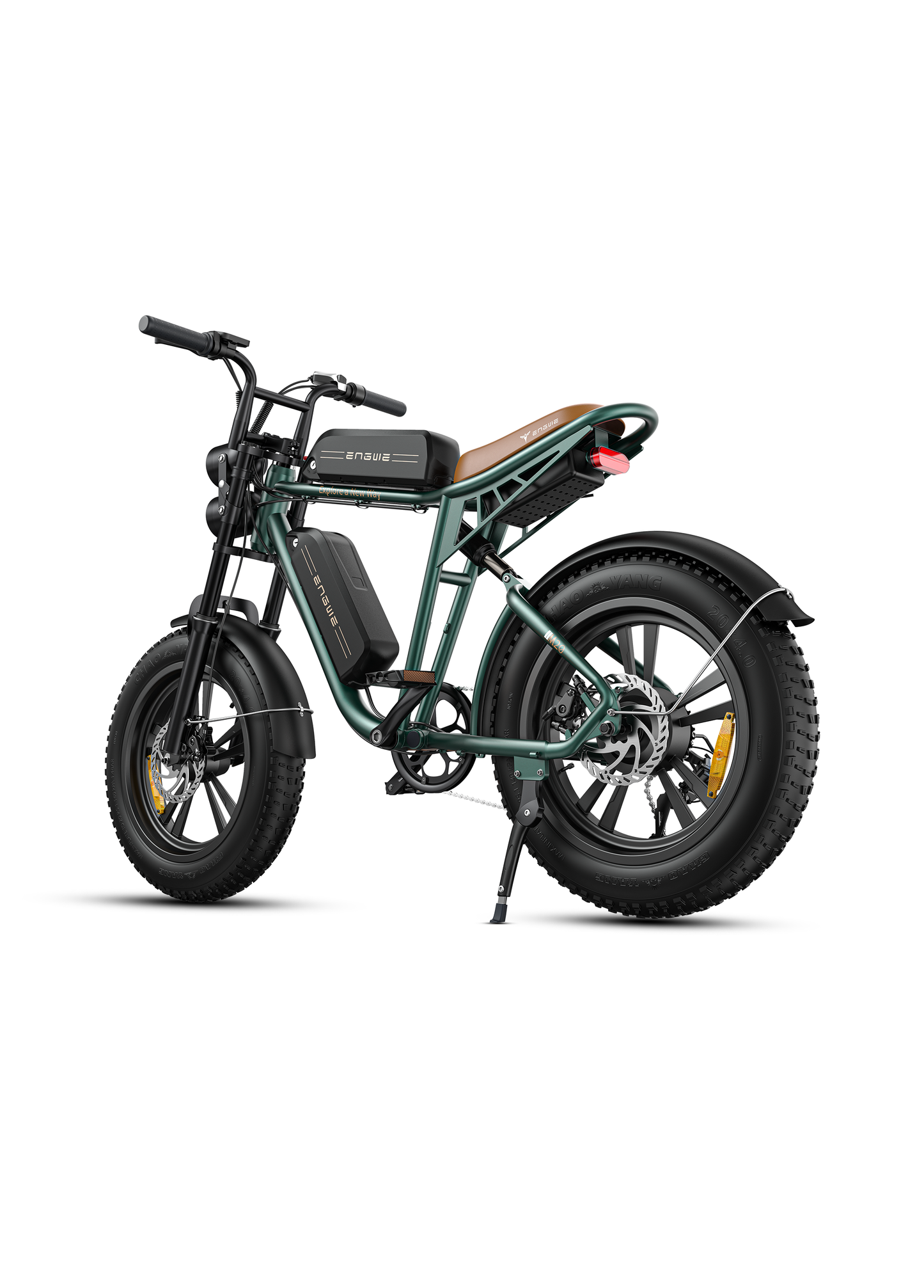 ENGWEM20ElectricBike-DoubleBattery1000W_Pedal Go