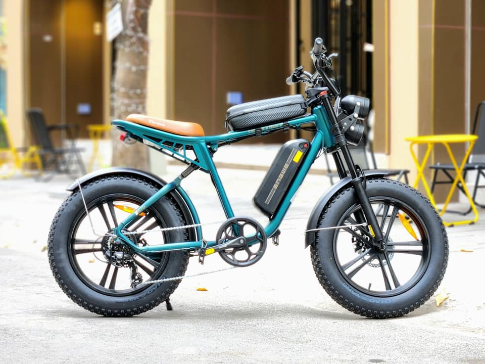ENGWEM20ElectricBike-DoubleBattery1000W_Pedal Go