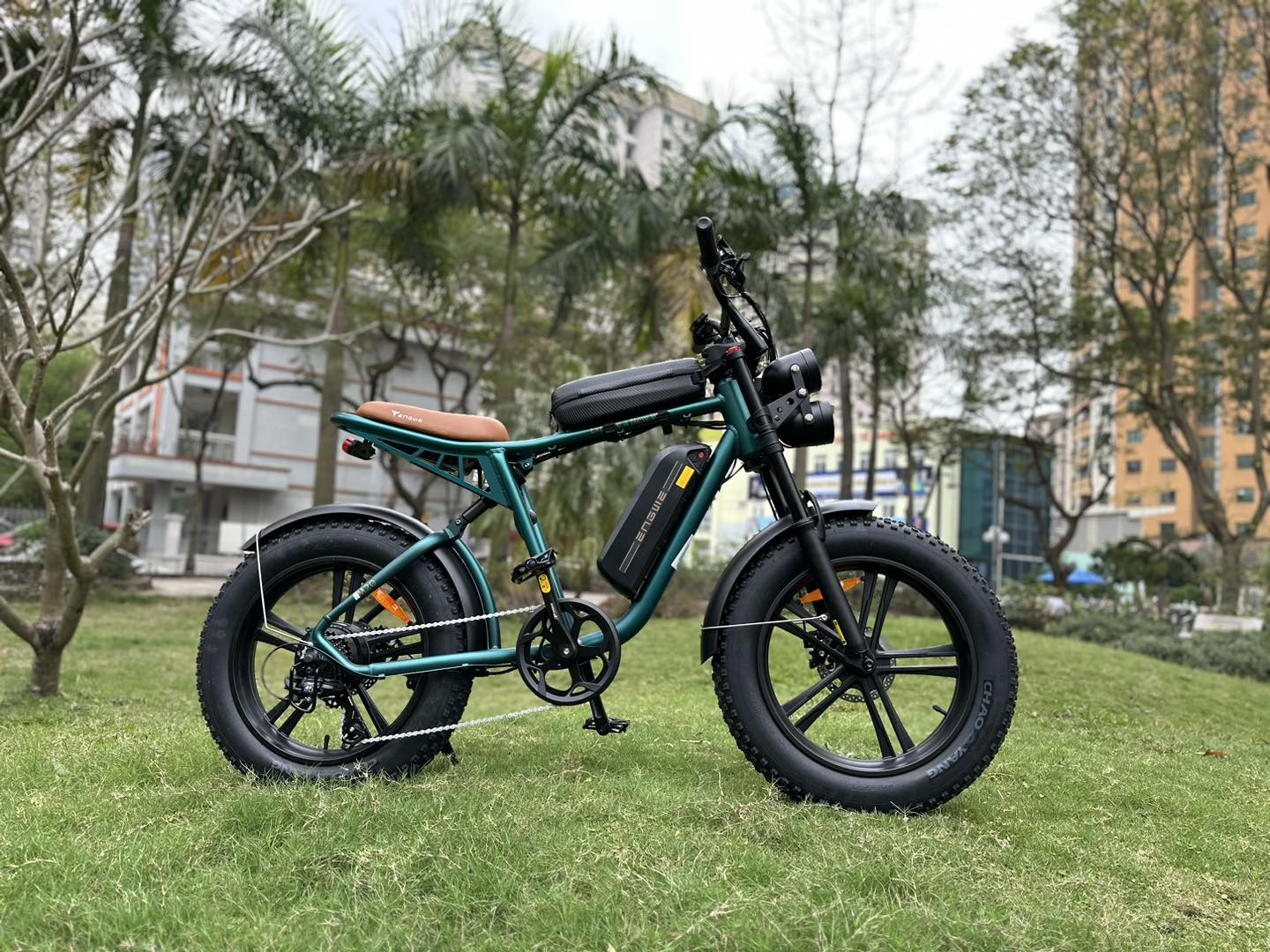 ENGWEM20ElectricBike-DoubleBattery1000W_Pedal Go