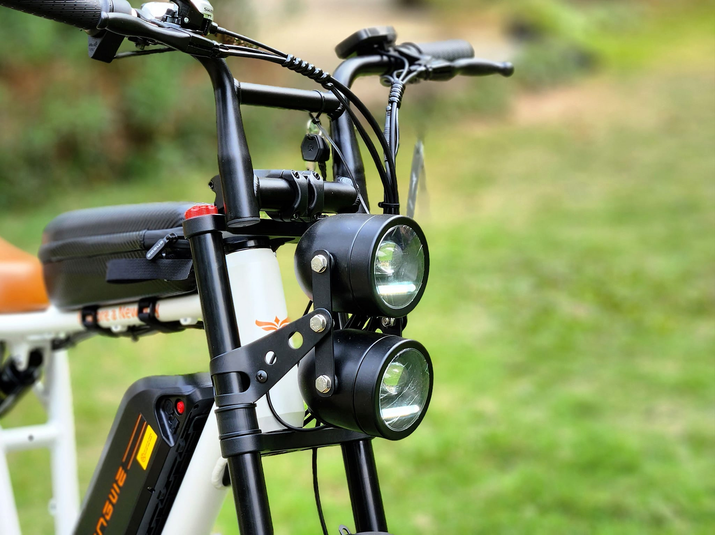 ENGWEM20ElectricBike-DoubleBattery1000W_Pedal Go