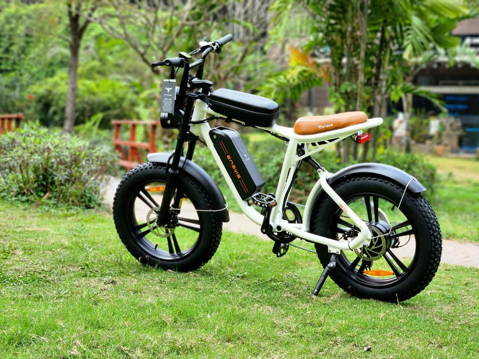 ENGWEM20ElectricBike-DoubleBattery1000W_Pedal Go