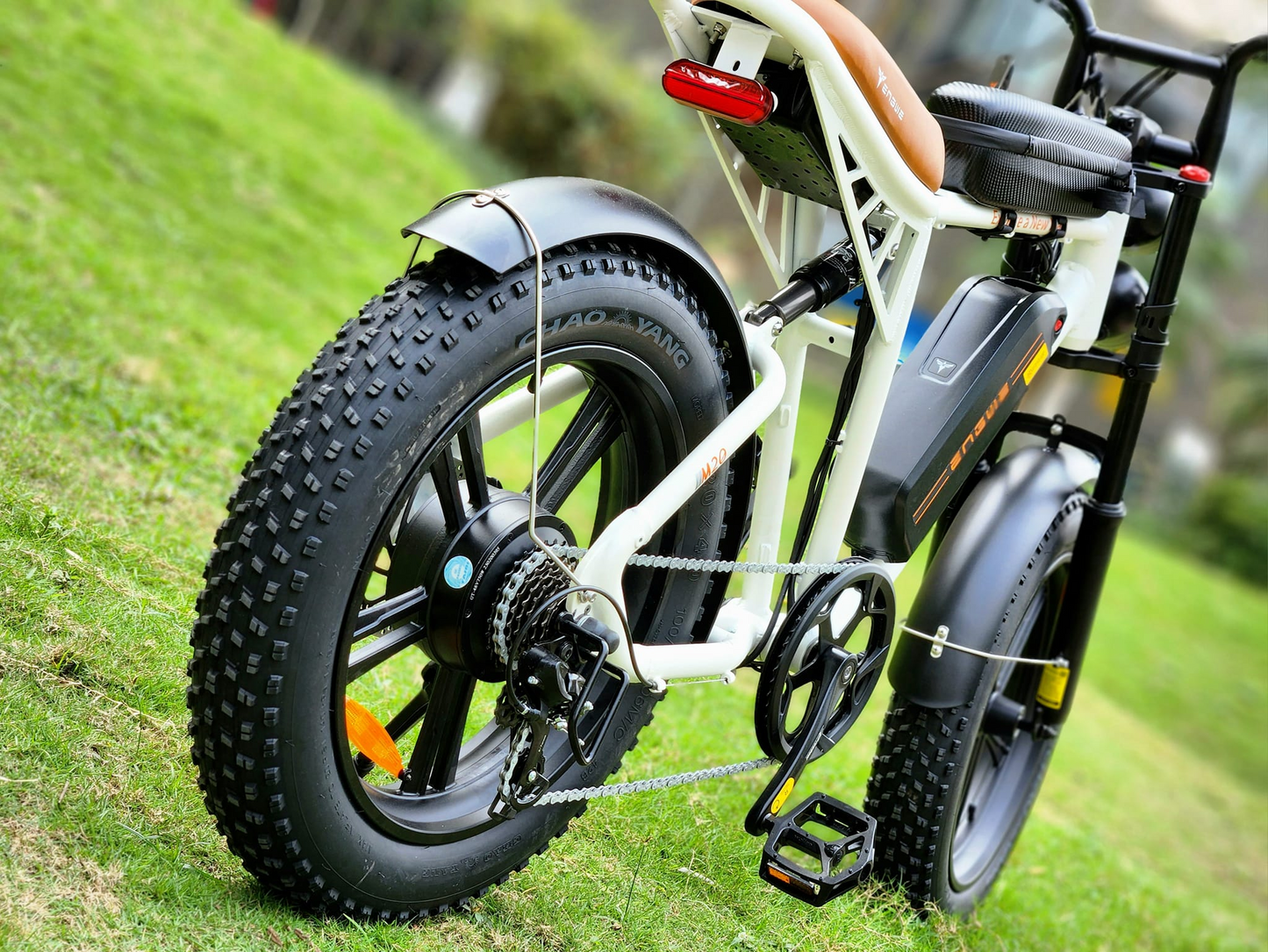 ENGWEM20ElectricBike-DoubleBattery1000W_Pedal Go