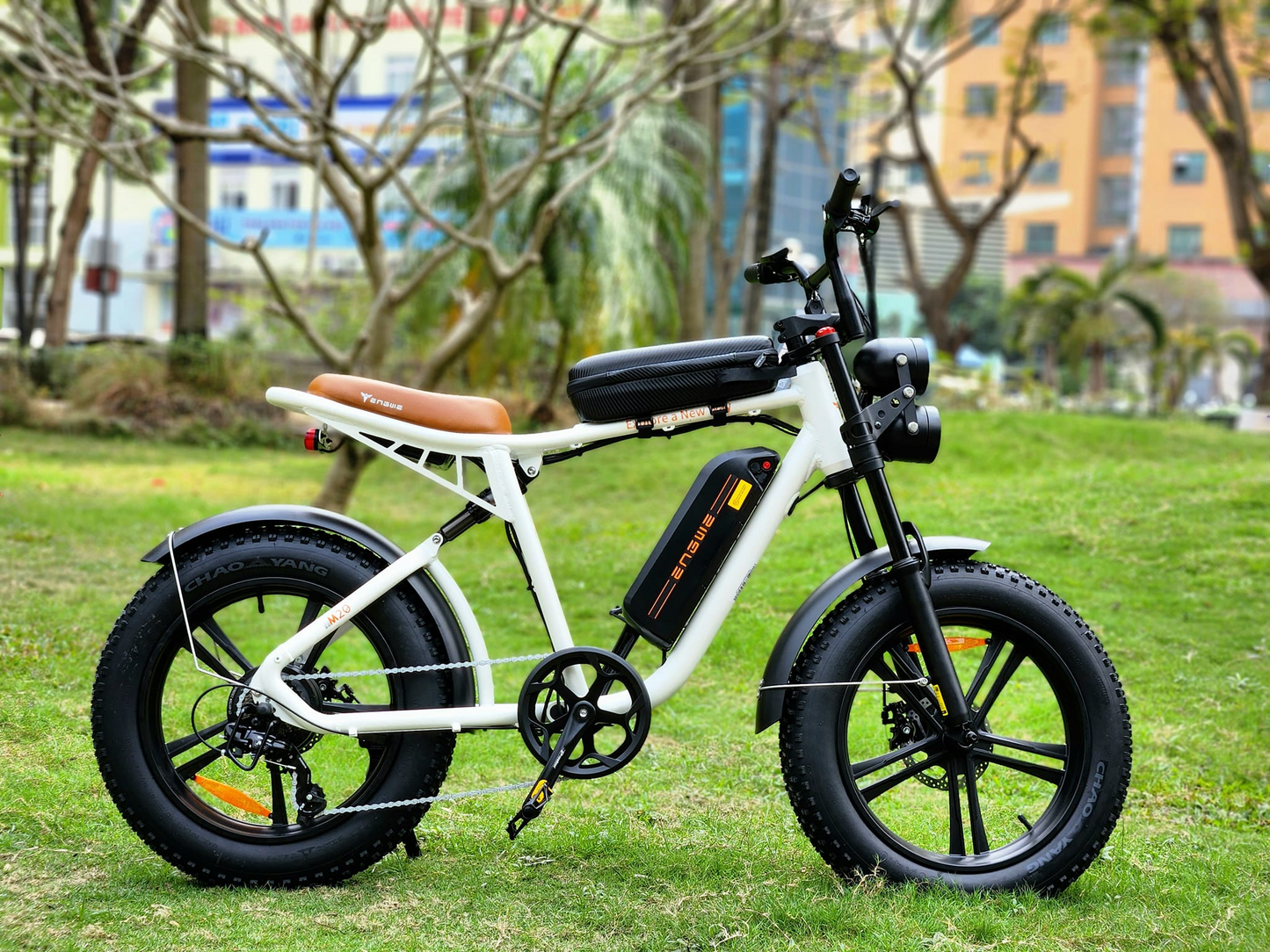 ENGWEM20ElectricBike-DoubleBattery1000W_Pedal Go