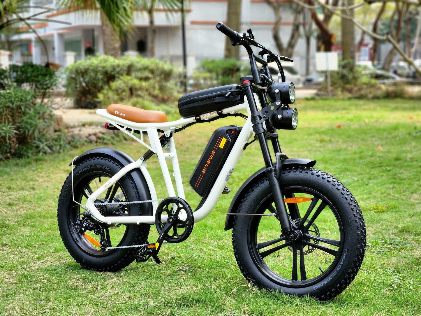 ENGWEM20ElectricBike-DoubleBattery1000W_Pedal Go