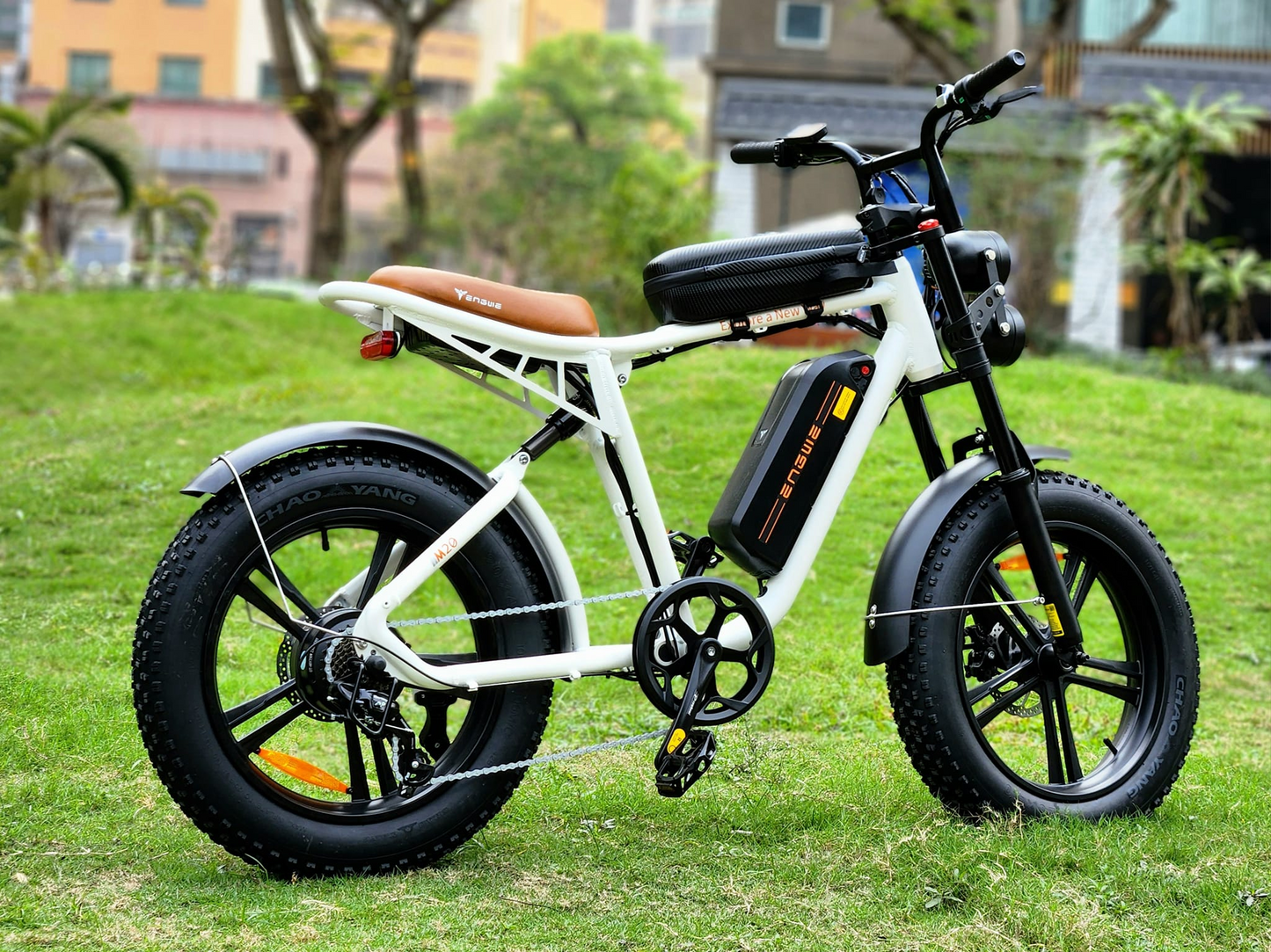 ENGWEM20ElectricBike-DoubleBattery1000W_Pedal Go