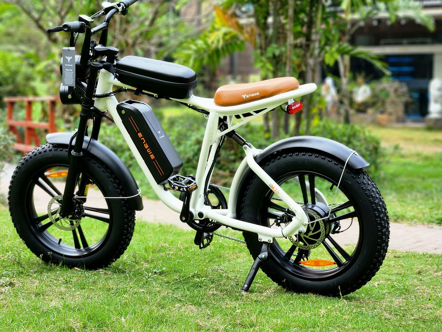 ENGWEM20ElectricBike-DoubleBattery1000W_Pedal Go