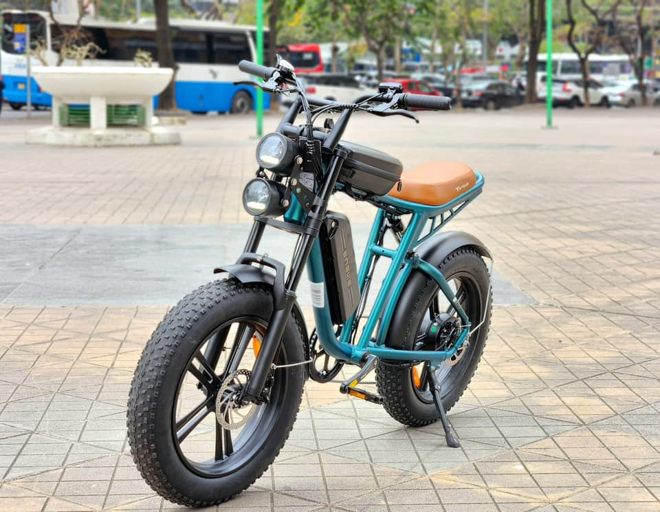 ENGWEM20ElectricBike-DoubleBattery1000W_Pedal Go