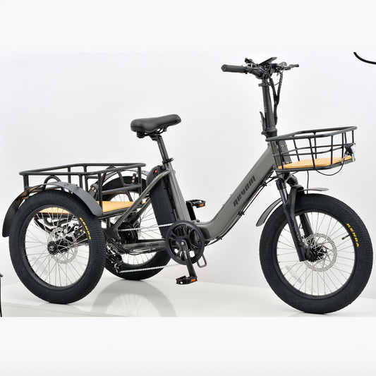 Revom T1F Folding Urban Electric Tricycle
