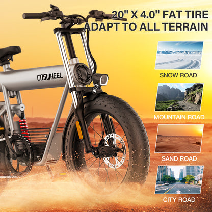 COSWHEEL T20 - Pedal Go