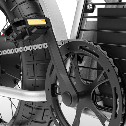 COSWHEEL CT20S - Pedal Go