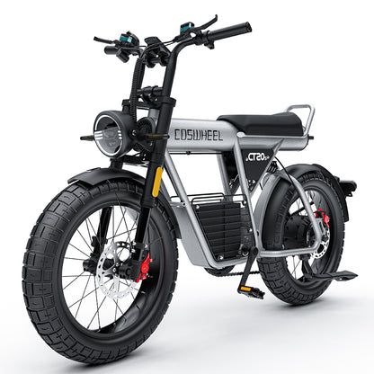 COSWHEEL CT20S - Pedal Go