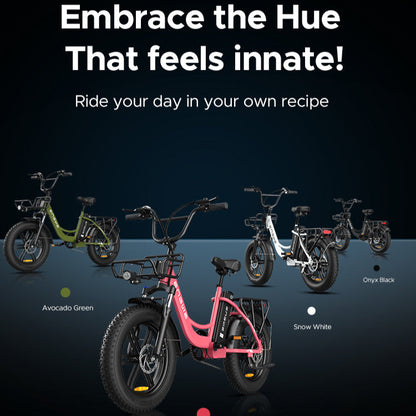 ENGWE L20 Electric Bike - 250W-Pedal Go