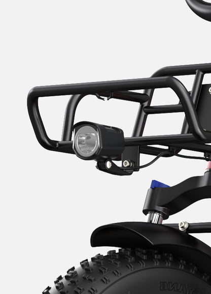 ENGWE L20 Electric Bike - 250W-Pedal Go
