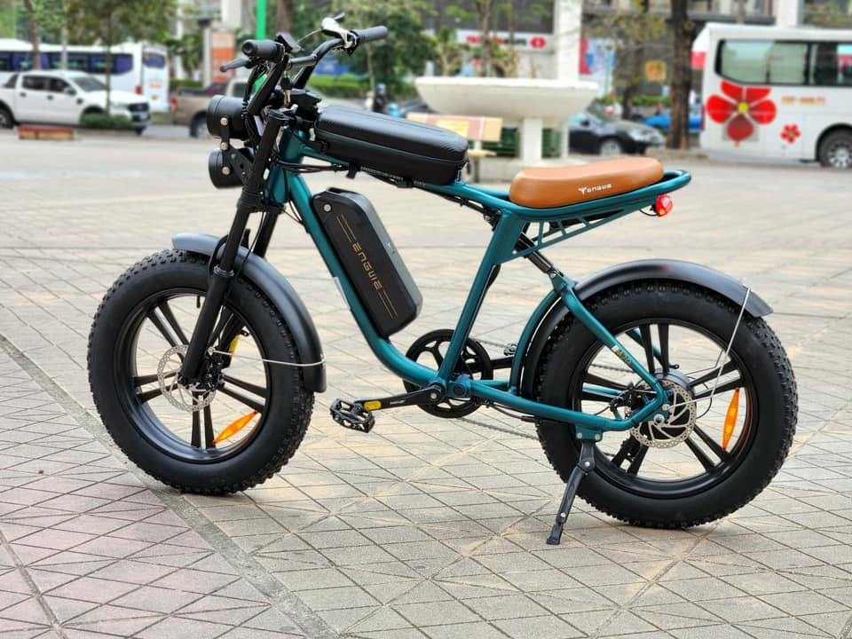 ENGWEM20ElectricBike-DoubleBattery1000W_Pedal Go