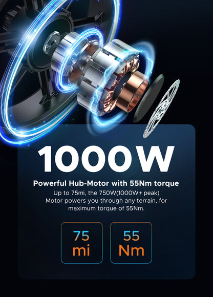 ENGWEM20ElectricBike-DoubleBattery1000W_Pedal Go