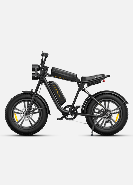 ENGWEM20ElectricBike-DoubleBattery1000W_Pedal Go
