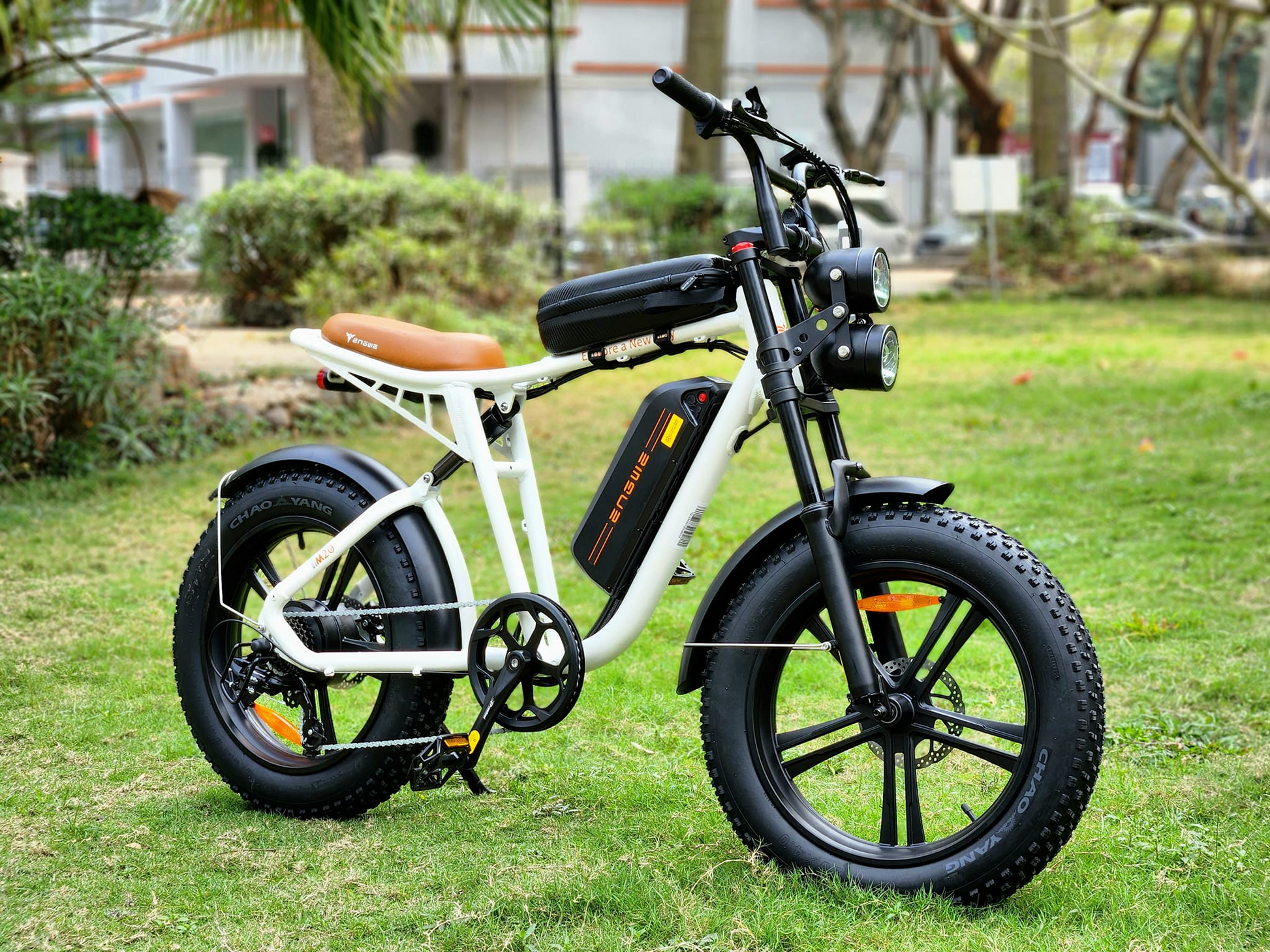 ENGWEM20ElectricBike-DoubleBattery1000W_Pedal Go