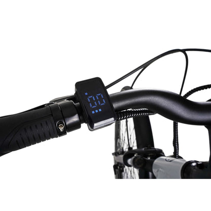 Falcon Horizon Low Step Electric Hybrid Bike