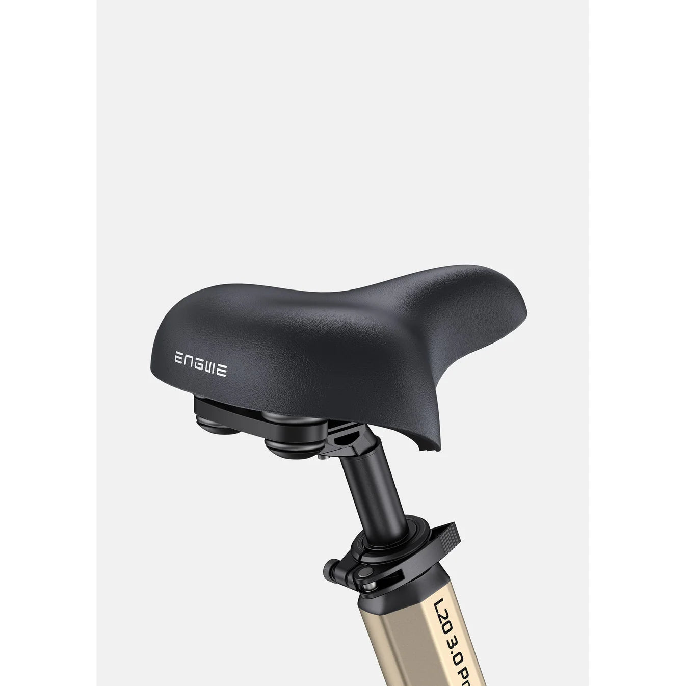 ENGWE L20 3.0 Pro Step-Through
