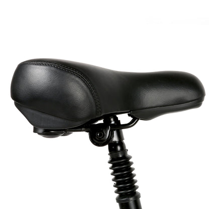 Samebike 20LVXD30-II-IT Mini Bike - Pedal Go