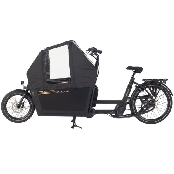Basalt Electric Cargo Bike