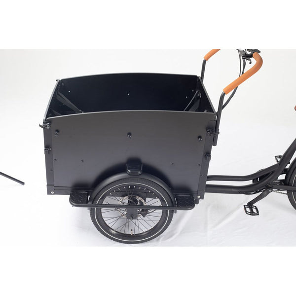 Starter Electric Cargo Bike