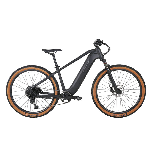 Wrath 2.0 Cues Electric Mountain Bike