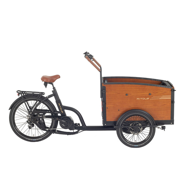 Family S Electric Cargo Bike